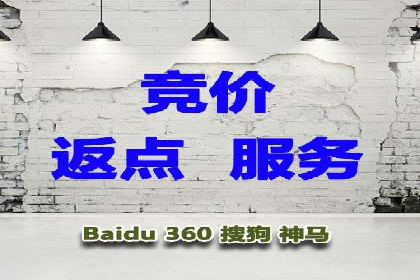 成功企业的SEM竞价优化经验与启示
